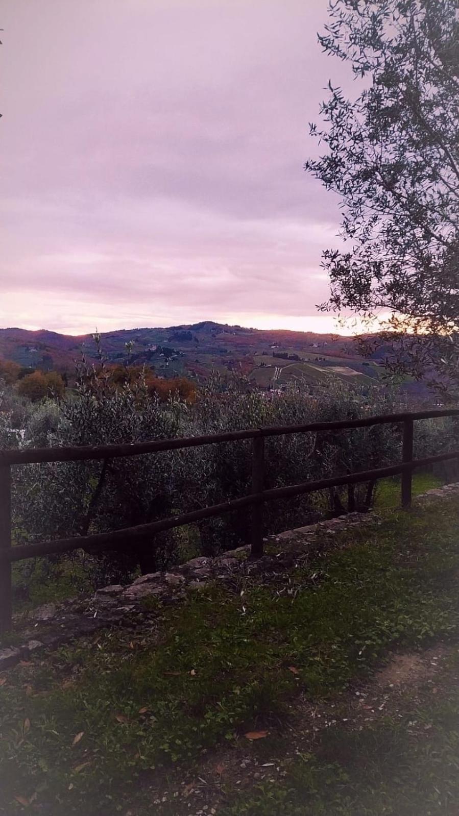 Agriturismo La Camporena Greve in Chianti Zewnętrze zdjęcie
