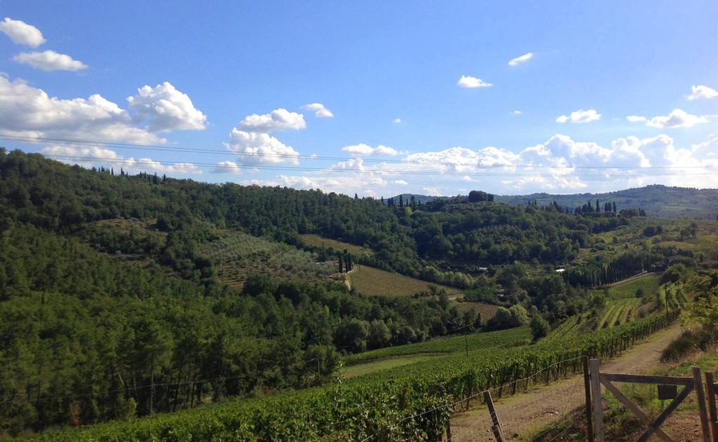 Agriturismo La Camporena Greve in Chianti Zewnętrze zdjęcie
